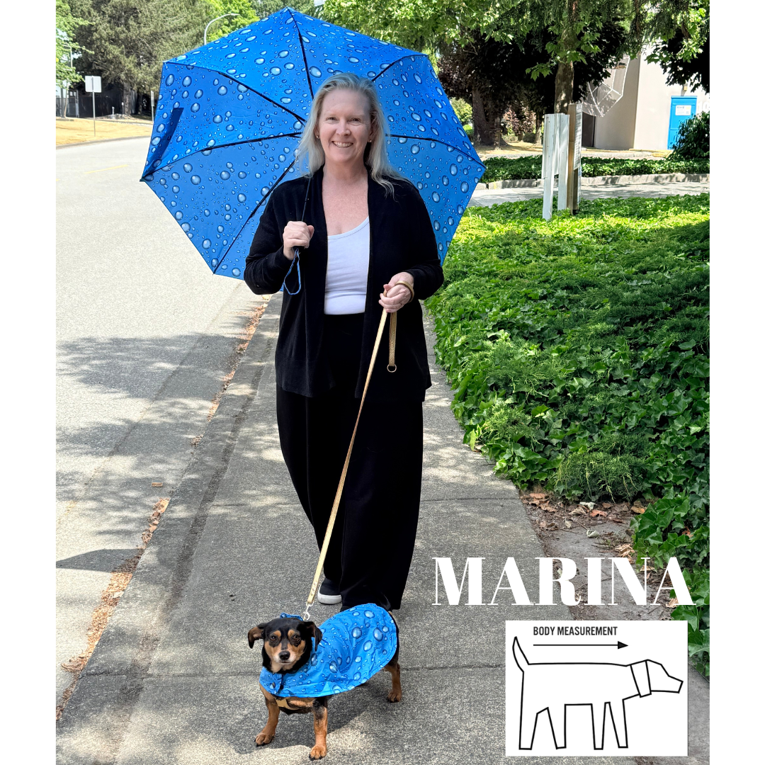 Matching Rain Umbrella & Dog Rain Jacket Set | You & Your Pup